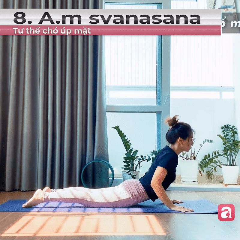 10 phút yoga buổi sáng với chuỗi bài chào mặt trời: Giúp body săn chắc, da dẻ hồng hào - Hình 8