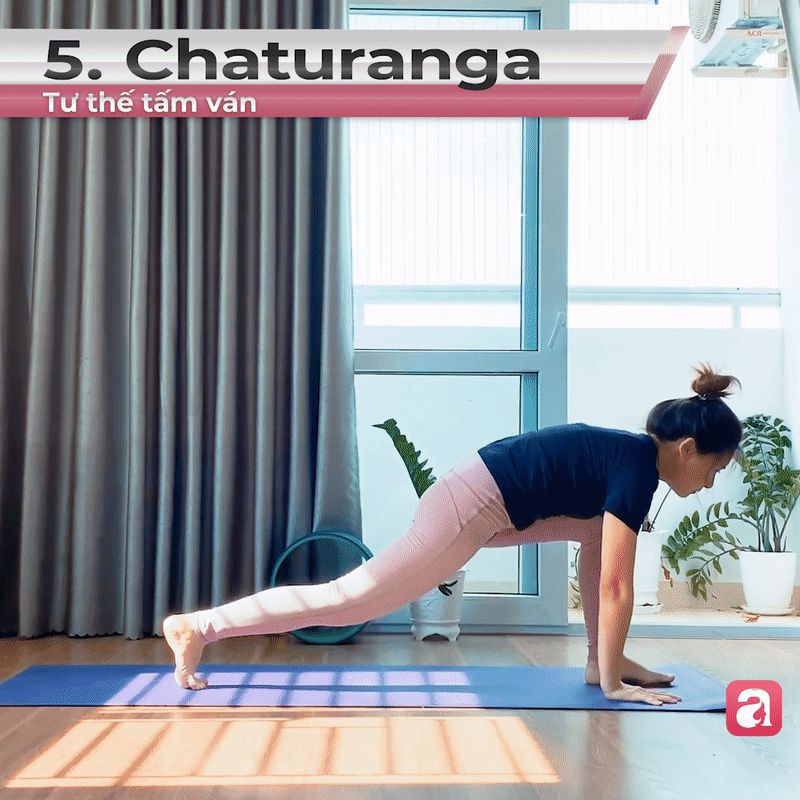 10 phút yoga buổi sáng với chuỗi bài chào mặt trời: Giúp body săn chắc, da dẻ hồng hào - Hình 5