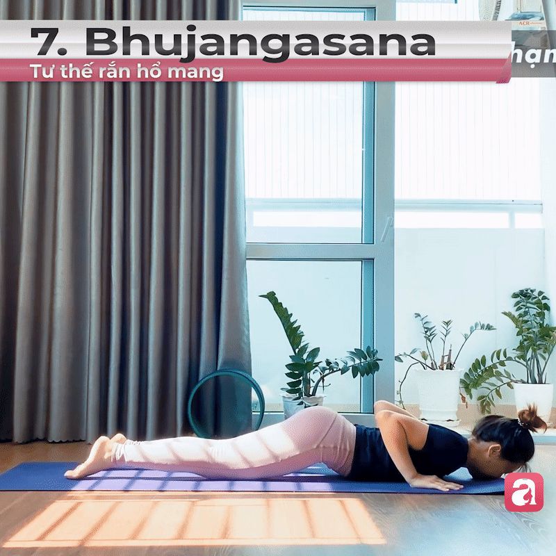 10 phút yoga buổi sáng với chuỗi bài chào mặt trời: Giúp body săn chắc, da dẻ hồng hào - Hình 7