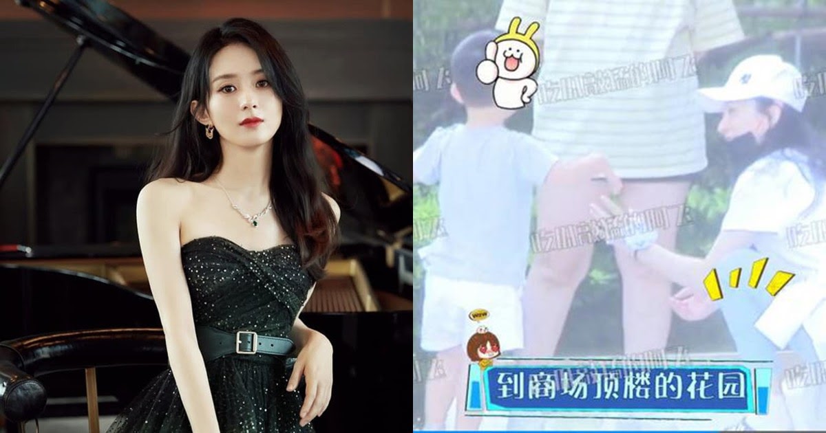 Triệu Lệ Dĩnh để lộ cát-xê trăm tỷ gây choáng nhưng lại từ chối nuôi con vì nghèo - Hình 6