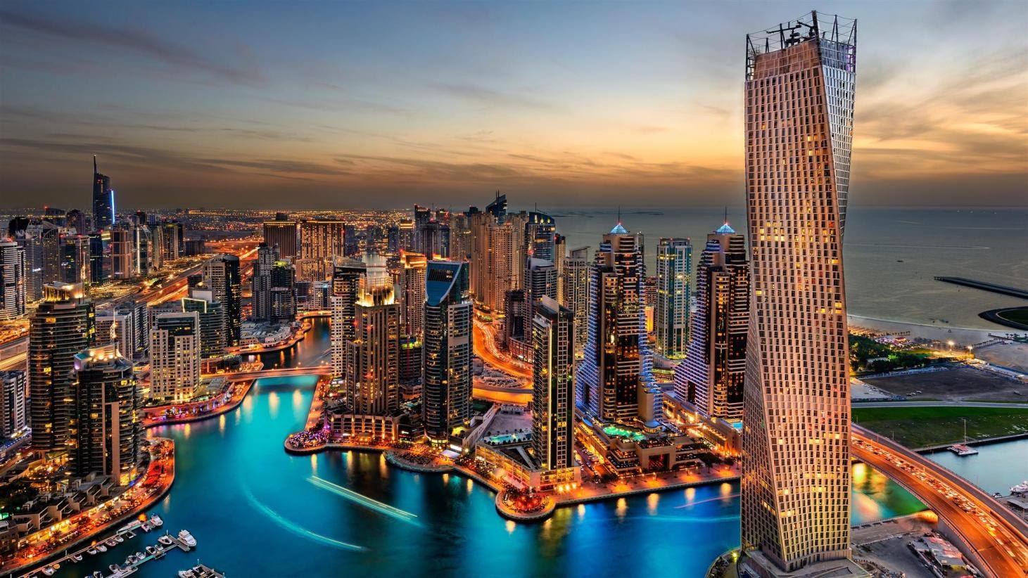 Nuôi hổ làm thú cưng trong nhà và những sự thật thú vị ở Dubai - Hình 1