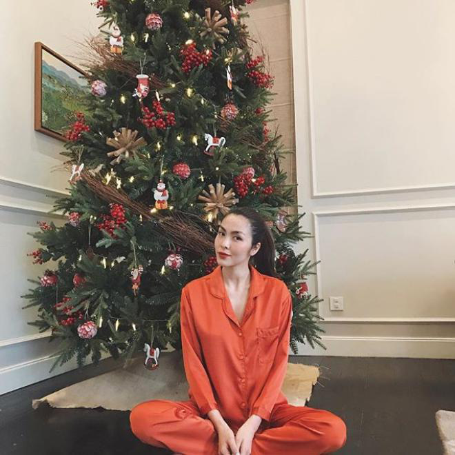Biệt thự triệu đô nhà Hà Tăng đã lên đèn đón Noel, quý tử lọt vào ống kính và gây choáng với chi tiết này! - Hình 6