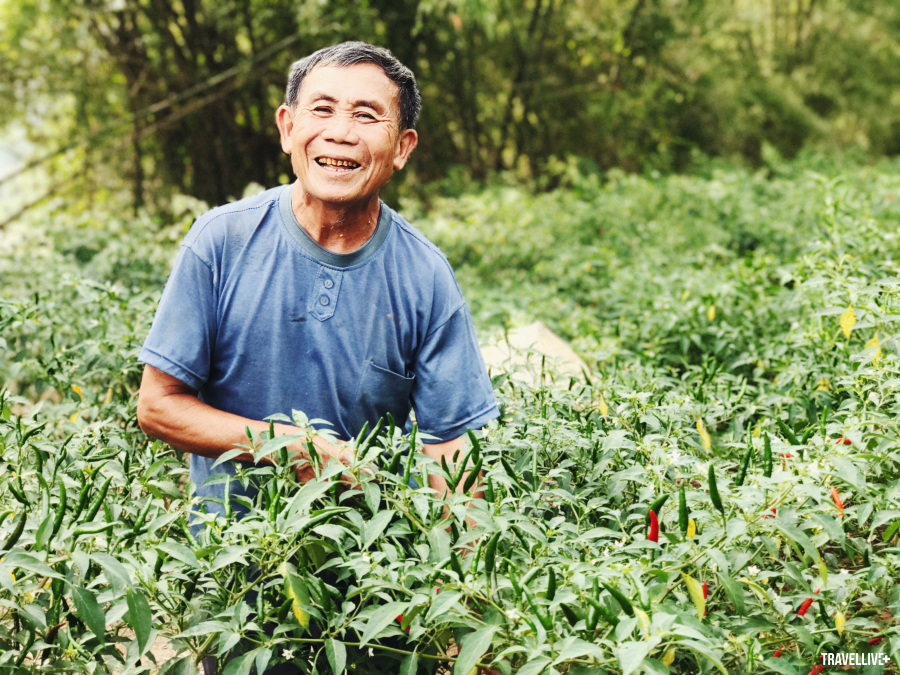 Đạp xe ở thung lũng Bồng Lai - Hình 6