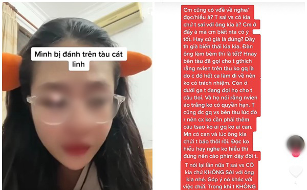 Kể chuyện bị đánh trên tàu Cát Linh - Hà Đông, cô gái chẳng được bênh còn bị mắng thêm - Hình 1