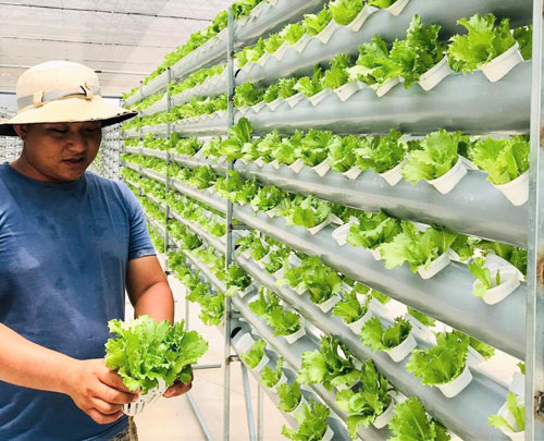 Nông nghiệp công nghệ cao trên vùng đất khô hạn - Hình 1
