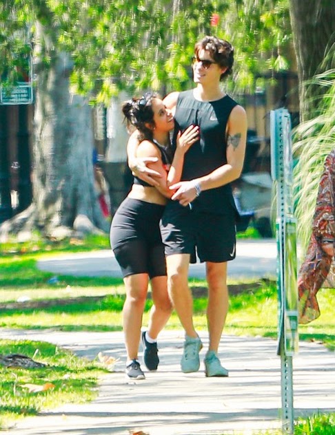 SỐC NẶNG: Shawn Mendes và Camila Cabello chia tay sau 2 năm mặn nồng - Hình 7