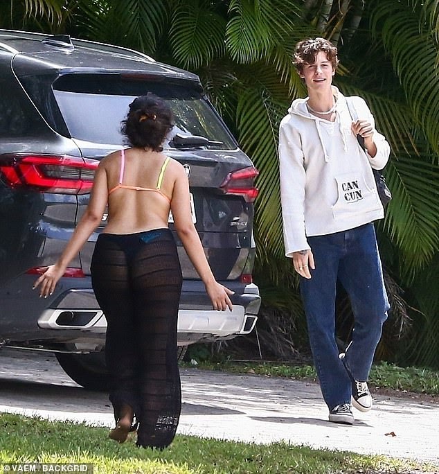 SỐC NẶNG: Shawn Mendes và Camila Cabello chia tay sau 2 năm mặn nồng - Hình 10