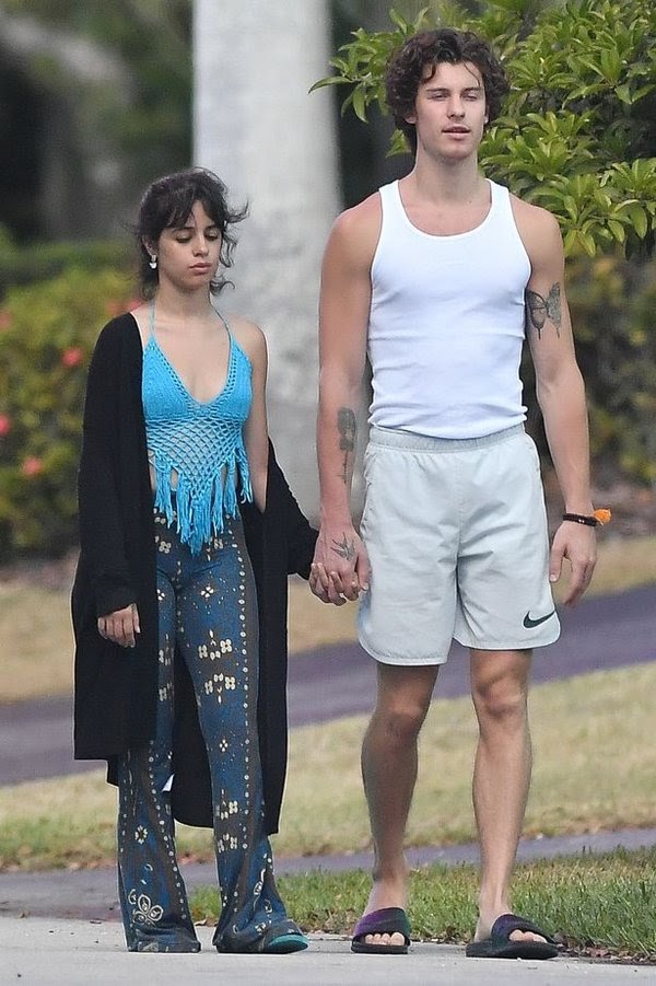 SỐC NẶNG: Shawn Mendes và Camila Cabello chia tay sau 2 năm mặn nồng - Hình 3