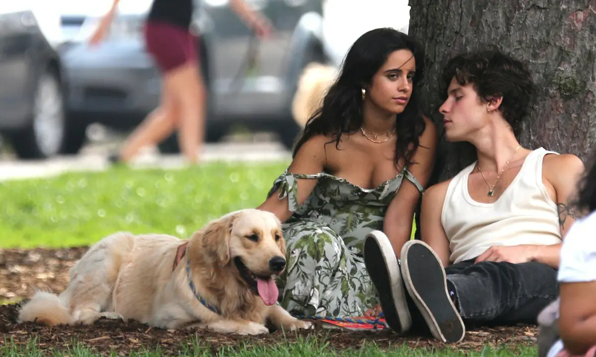 SỐC NẶNG: Shawn Mendes và Camila Cabello chia tay sau 2 năm mặn nồng - Hình 4