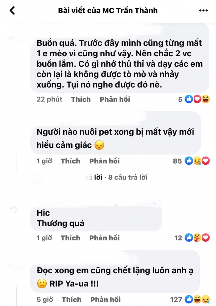 Hari Won đau xót báo tin buồn: 'Mẹ xin lỗi con và thương con rất nhiều', CĐM xót xa động viên - Hình 5