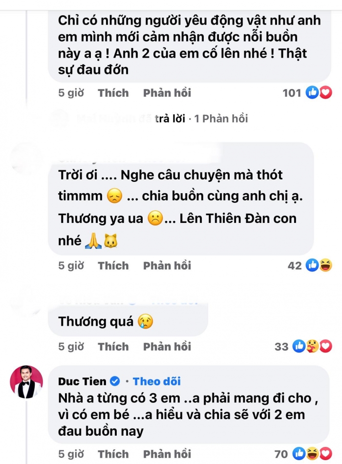 Hari Won đau xót báo tin buồn: 'Mẹ xin lỗi con và thương con rất nhiều', CĐM xót xa động viên - Hình 4