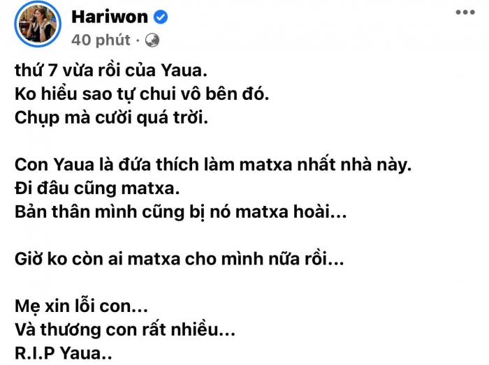 Hari Won đau xót báo tin buồn: 'Mẹ xin lỗi con và thương con rất nhiều', CĐM xót xa động viên - Hình 1