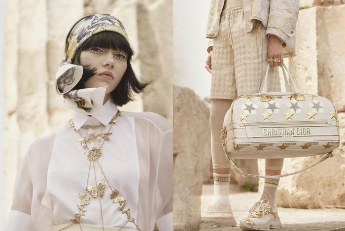 Túi Xách Christian Dior SE Thời trang Phụ nữ Dior  túi png tải về  Miễn  phí trong suốt Túi Xách png Tải về