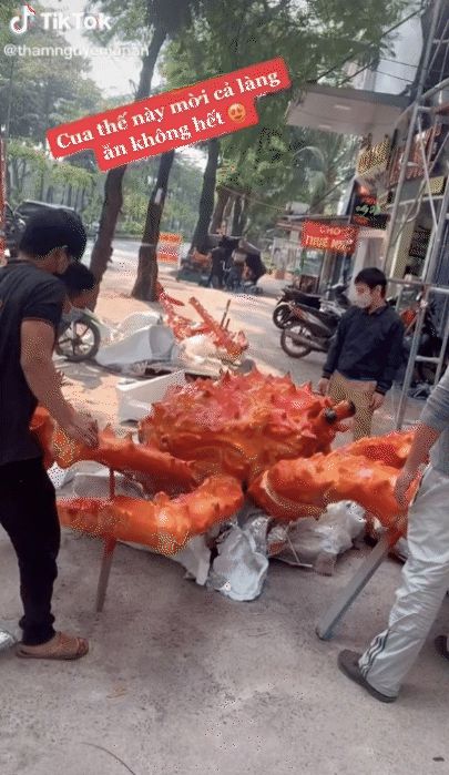 Dân mạng xỉu ngang trước con cua mời cả làng ăn không hết, lúc tiến lại gần mới tá hoả vì sự thật này - Hình 3