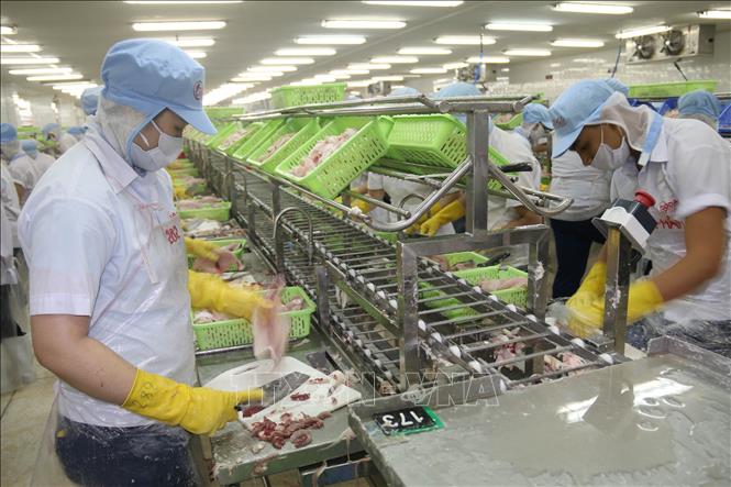 Hỗ trợ thực tế nhất cho doanh nghiệp vẫn là chính sách tốt - Hình 1