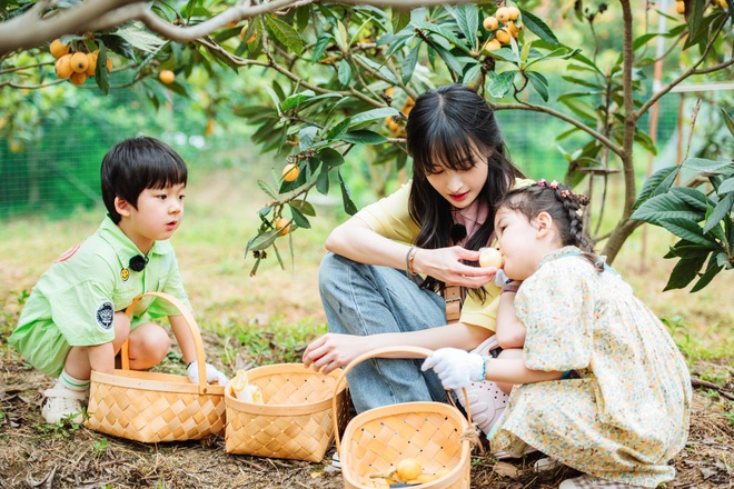 Thực hư việc Trịnh Sảng nhảy lầu tự tử sau scandal thuê người mang thai hộ - Hình 4