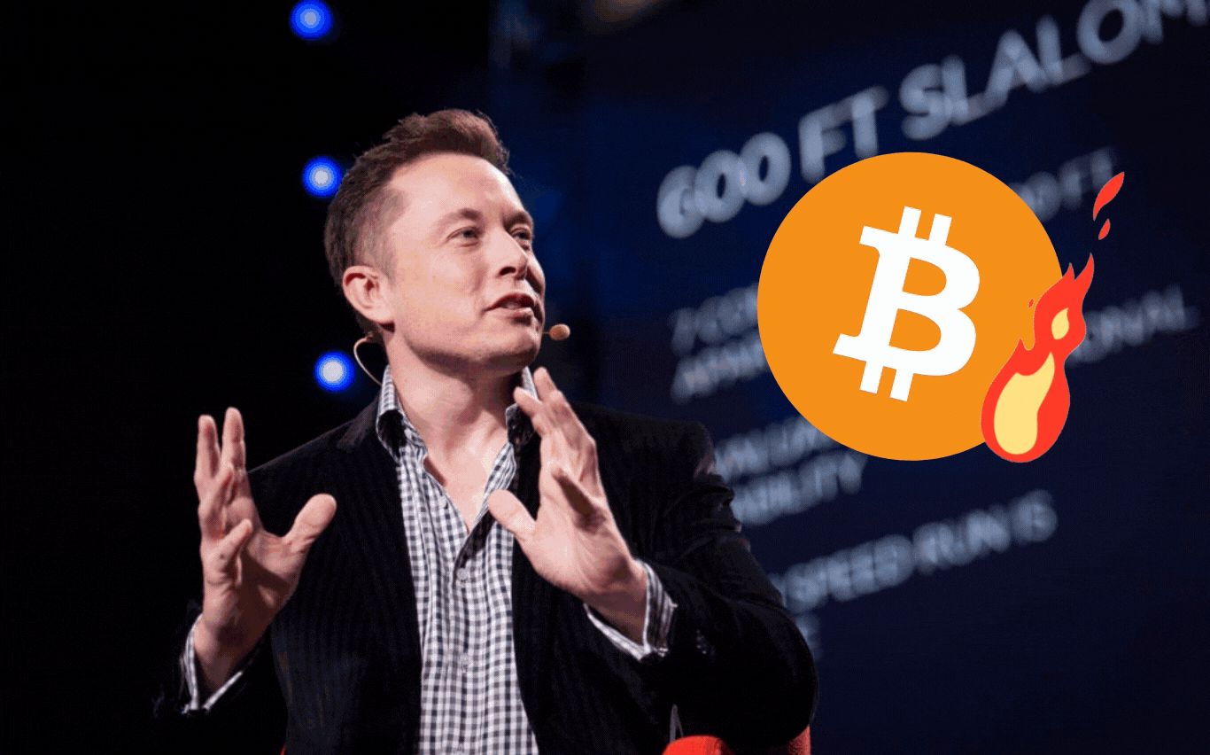 Nhà đầu tư danh tiếng dội gáo nước lạnh vào lý do Tesla mua 1,5 tỷ USD Bitcoin - Hình 2