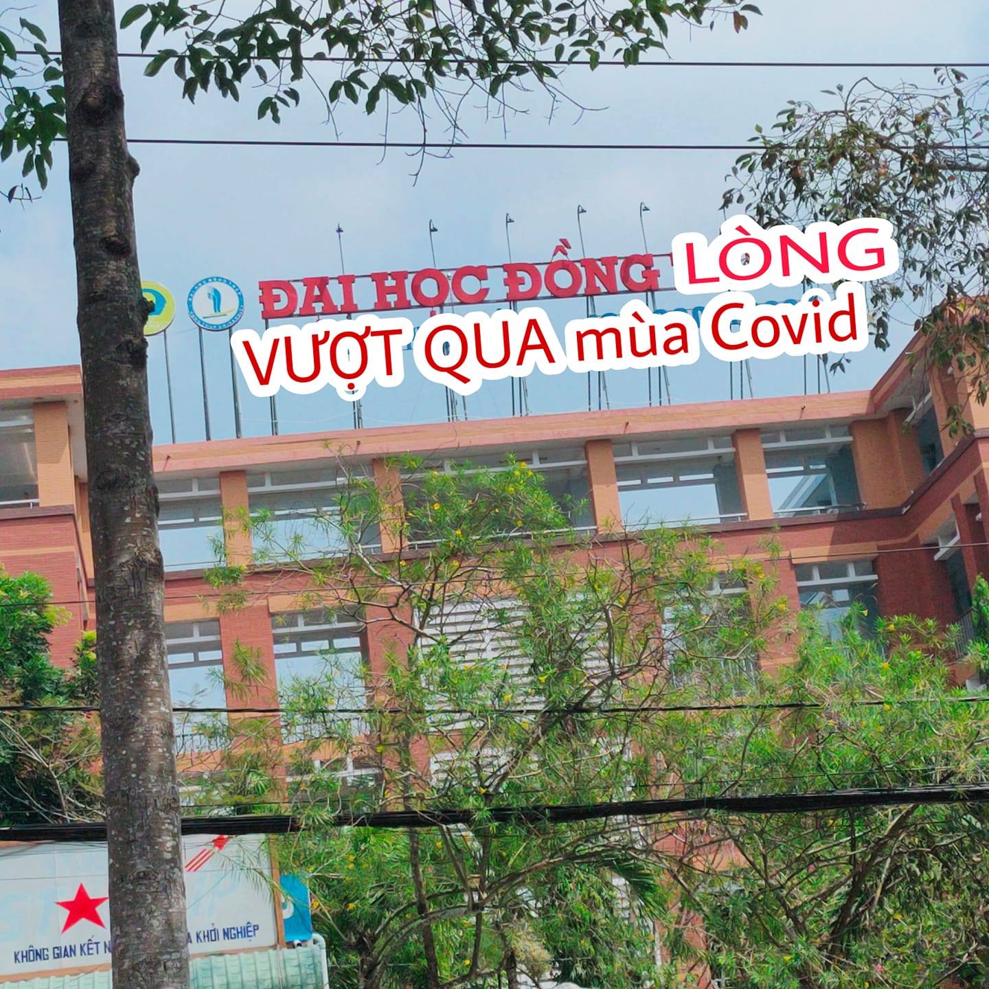 Học sinh chuẩn bị phòng chống Covid-19: Mua trữ lương thực, tìm lại các group học online, sẵn sàng cho mọi tình huống - Hình 4