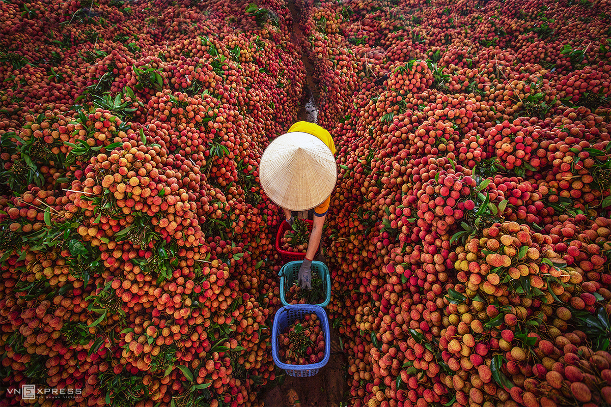 Sắc màu nhịp sống vùng cao - Hình 9