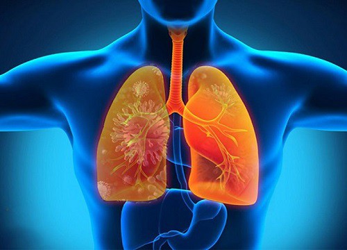 Không khí ô nhiễm thấp cũng gây hại cho tim, phổi