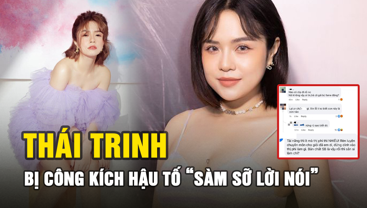 Thái Trinh bị cư dân mạng công kích hậu tố bị s.à.m s.ỡ bằng lời nói - Hình 6