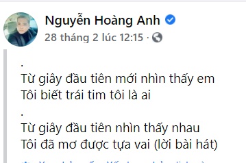 Hoàng Anh làm gì trong lúc bạn bè và vợ cũ khẩu chiến? - Hình 4