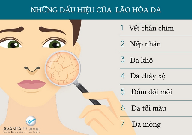 Lão hóa da và các vấn đề thường gặp - Hình 1