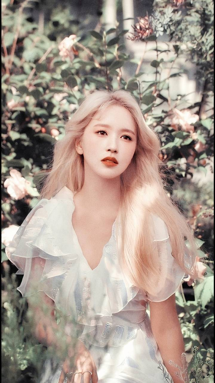 Mina (Twice) làm fan điên đảo trước khí chất nữ chủ tịch sang chảnh trong Time To Twice season 2 - Hình 3