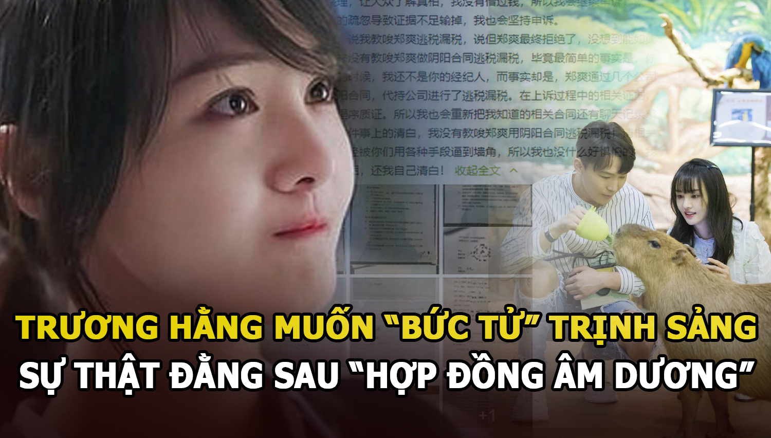 Trương Hằng muốn bức tử Trịnh Sảng và góc khuất trong hợp đồng âm dương - Hình 8