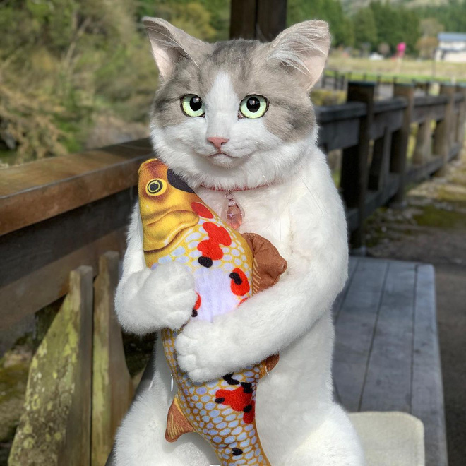 Balo mèo: Bạn có yêu thích những con vật đáng yêu và dễ thương không? Hãy cùng xem ảnh về một chiếc balo mèo siêu đáng yêu và xinh xắn, không chỉ là một món đồ dùng cá nhân mà còn là trang phục thời trang phối cùng những bộ trang phục khác.
