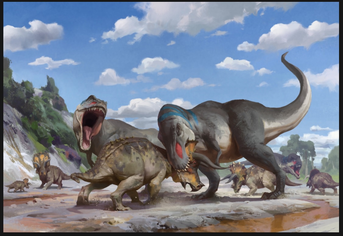 Triceratops Đồ họa mạng di động Khủng long Clip nghệ thuật Tyrannosaurus  vẽ  khủng long png tyrannosaurus png tải về  Miễn phí trong suốt Khủng Long  png Tải về