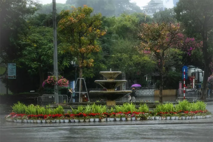Hồ Gươm đẹp huyền ảo, lãng mạn trong lất phất mưa - Hình 8