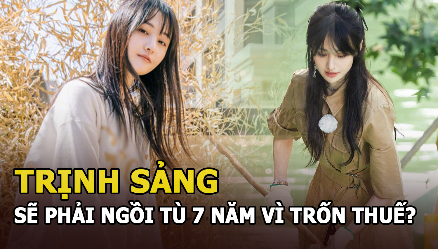 Trịnh Sảng ngồi tù bảy năm vì trốn thuế? Khiến cả giới giải trí điêu đứng bị điều tra - Hình 4
