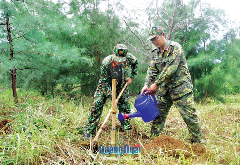Trồng lại rừng trên đất đảo - Hình 1