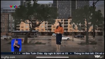 BTV Xuân Anh làm người xem thót tim khi đang lên sóng thì cây đổ ngay cạnh nào ngờ sự thật lại rất bất ngờ - Hình 2