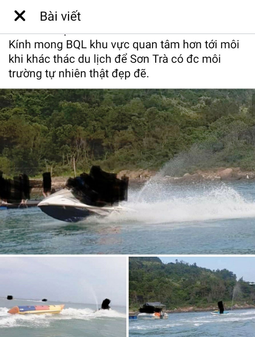 San hô Sơn Trà chết dần vì phương tiện du lịch trái phép? - Hình 2