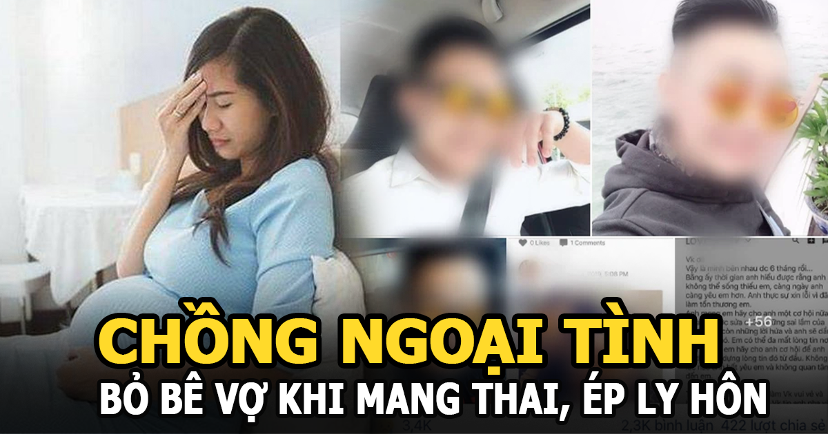 Vợ tố chồng ngoại tình, bỏ bê mình khi mang thai, dùng lý do bỉ ổi để ép vợ ly hôn - Hình 4
