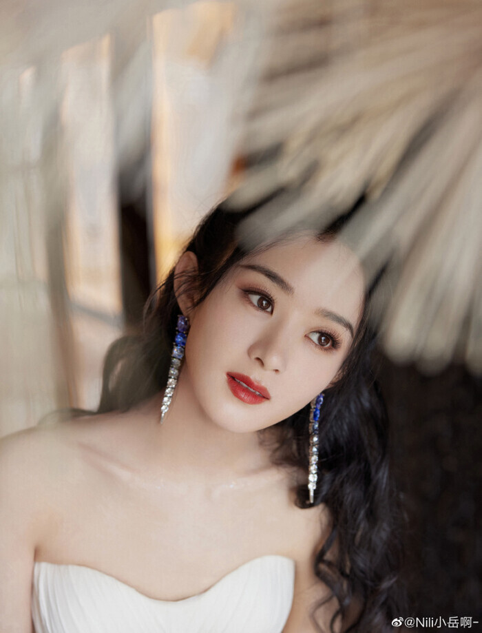 Triệu Lệ Dĩnh hợp tác với Trương Triết Hạn chứ không phải Tiêu Chiến trong bom tấn cổ trang - Hình 1