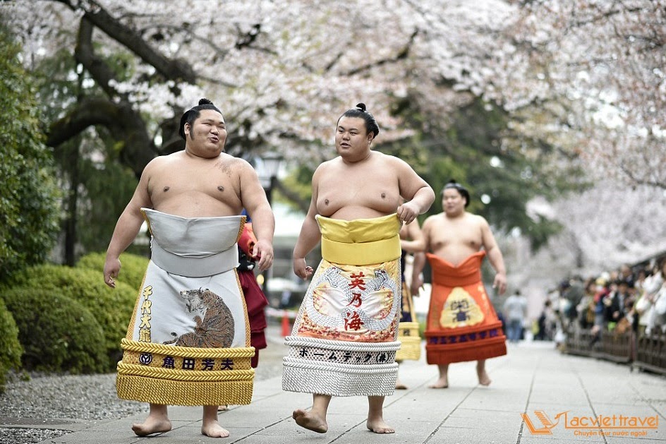 Võ Sumo - Môn thể thao quốc hồn của Nhật Bản và những bí mật rùng mình ít ai biết - Hình 3