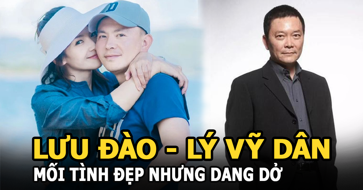 Lưu Đào - Lý Vỹ Dân: Mối tình đẹp nhưng dang dở, người thành vợ thảo, người vẫn lẻ bóng - Hình 7