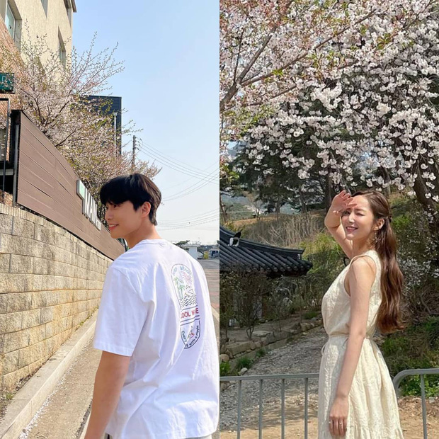 Phát hiện nhà của Park Seo Joon - Park Min Young cách nhau có... 10 mét: Bước chân sang là hẹn hò được còn gì? - Hình 3