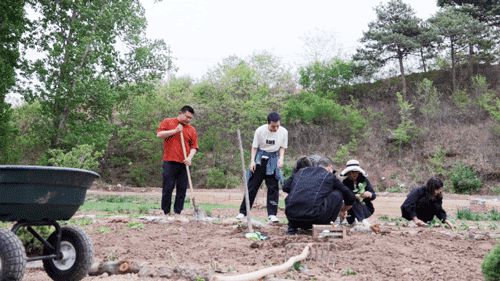 Hội bạn thân đồng loạt từ chức rời thành phố, thuê 1000m đất ở nông thôn để làm vườn và sống yên bình - Hình 5