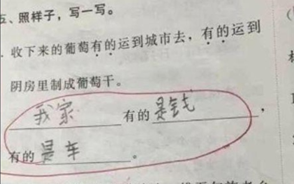 Cười té ghế với bài kiểm tra đặt câu của học sinh tiểu học - Hình 9