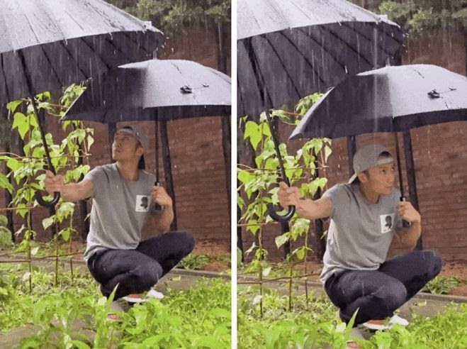 Tạ Đình Phong bị chỉ trích vì cầm ô che cho rau, con cái thì phó mặc cho Trương Bá Chi chăm sóc - Hình 1