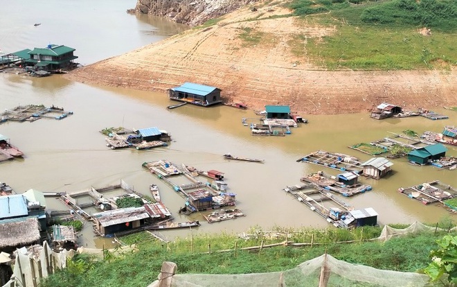 30 tấn cá chết như ngả rạ trên hồ sông Đà - Hình 1