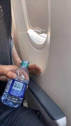 Anh Tây bày cách trị những đôi chân hư hỏng trên máy bay nhanh chóng được hơn 4 triệu lượt xem, hữu hiệu thế này thì chắc ai cũng áp dụng! - Hình 1