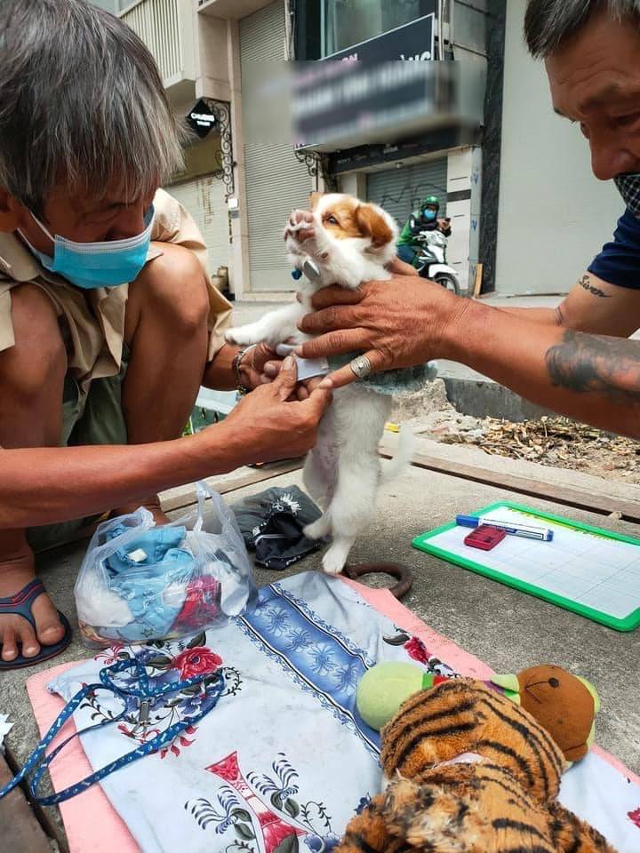 Cụ ông bán vé coi chó như con: Nhiều người kêu gọi hạn chế ôm ấp chó - Hình 2