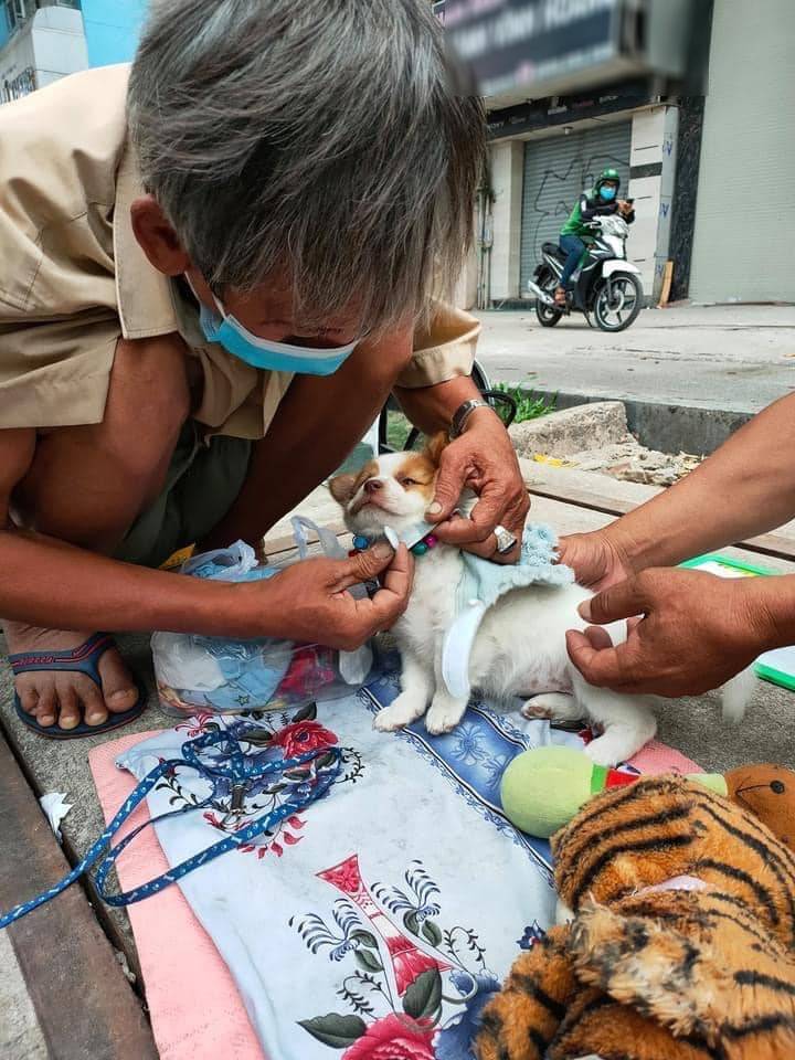 Cụ ông bán vé coi chó như con: Nhiều người kêu gọi hạn chế ôm ấp chó - Hình 3