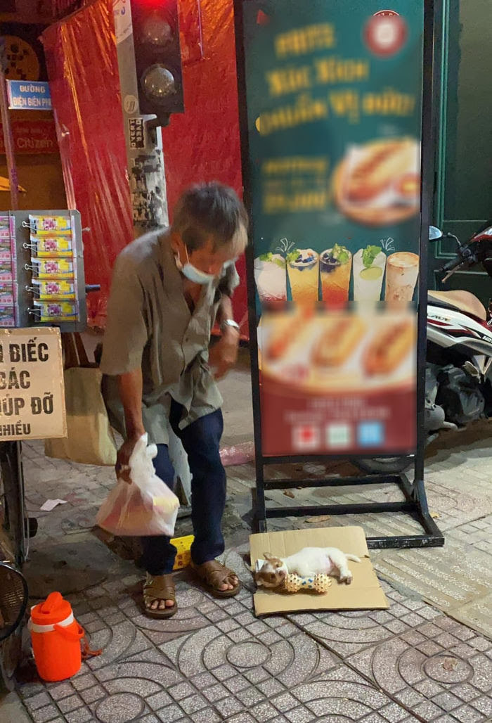 Cụ ông bán vé coi chó như con: Nhiều người kêu gọi hạn chế ôm ấp chó - Hình 7