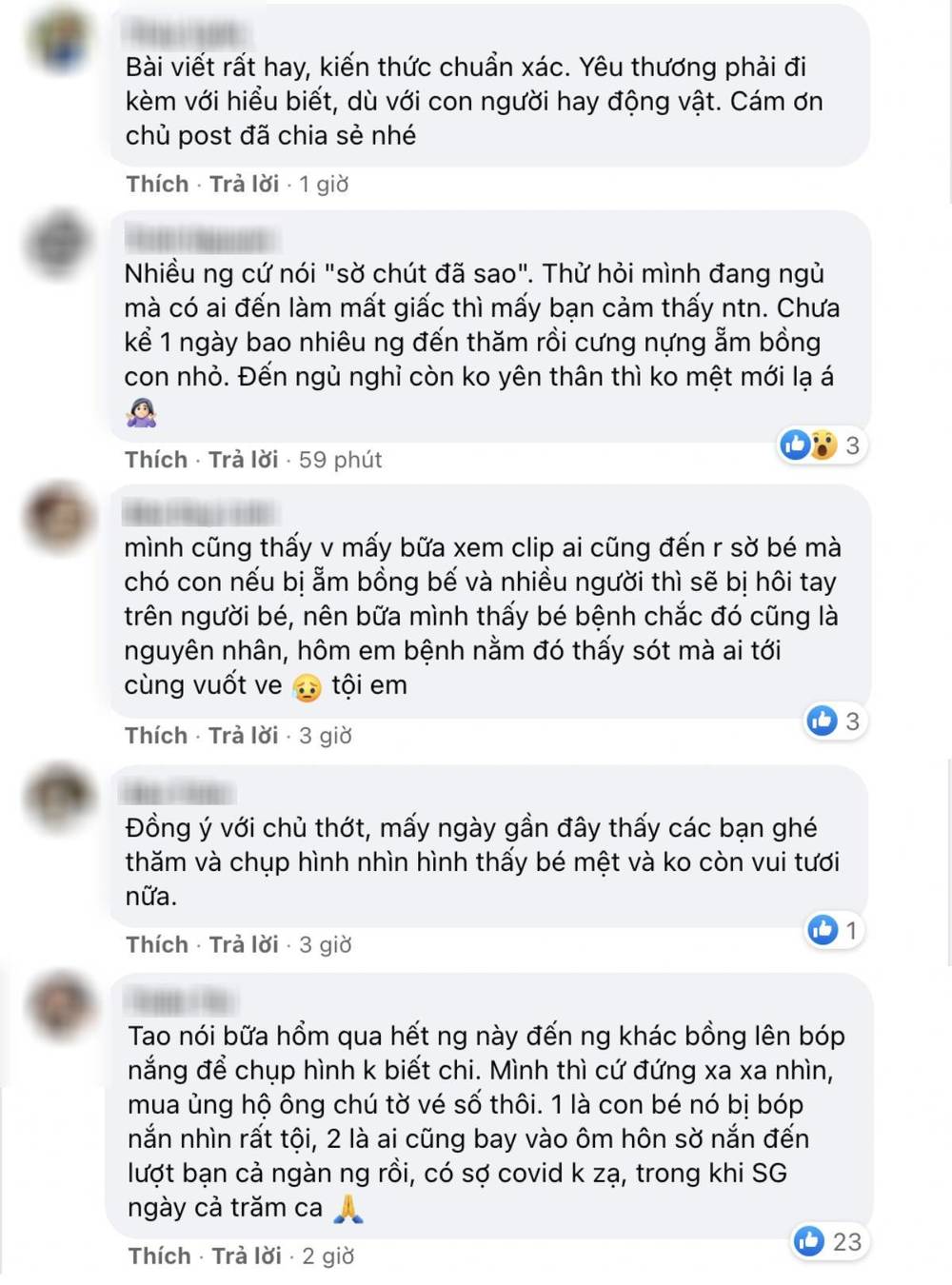 Cụ ông bán vé coi chó như con: Nhiều người kêu gọi hạn chế ôm ấp chó - Hình 4